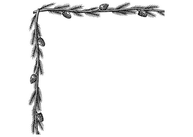 pine tree border art